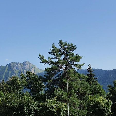 Apartmán Heidi Leysin Exteriér fotografie