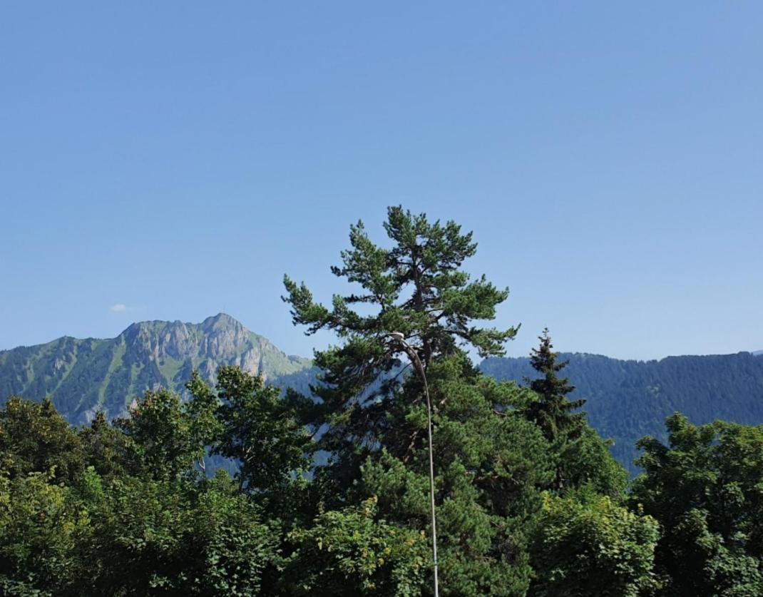 Apartmán Heidi Leysin Exteriér fotografie